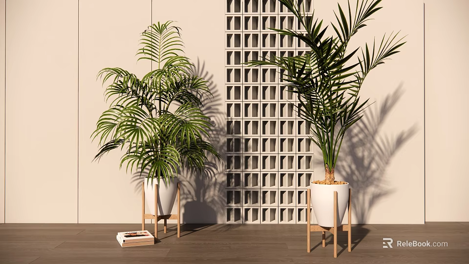 Indoor Palm Potted Plants In White Pots On Wooden Stands Against Grid Wall Background 3d model 