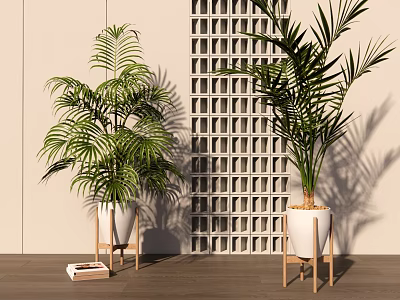 Indoor Palm Potted Plants In White Pots On Wooden Stands Against Grid Wall Background 3d model
