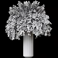 Elegant Decorative Ornament Set With Pampas Grass And Column For Home Decor