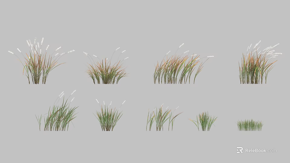 Various Ornamental Grass Varieties with Green and Brown Leaves in Garden Settings 3d model 