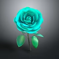 Turquoise Rose Plant With Vibrant Layered Petals Fresh Green Leaves And Stem