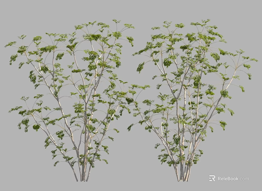 Two Decorative Green Leaf Trees With Slender Branches On Gray Background 3d model