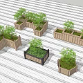 Bonsai Plants in Wooden Planters with Various Shapes Arranged on Wooden Deck