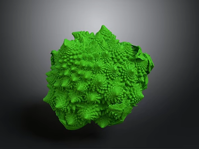 Green Spherical Animal With Intricate Fractal Surface Patterns And Textures 3d model