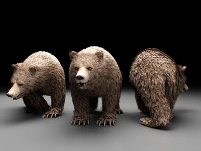 Three 3D Bear Models Showcased From Different Angles With Realistic Fur 3d model
