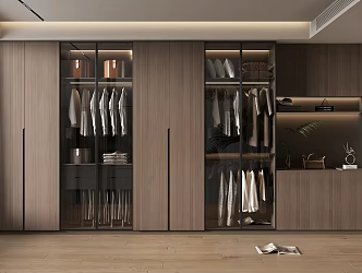 Home wardrobe 3d model