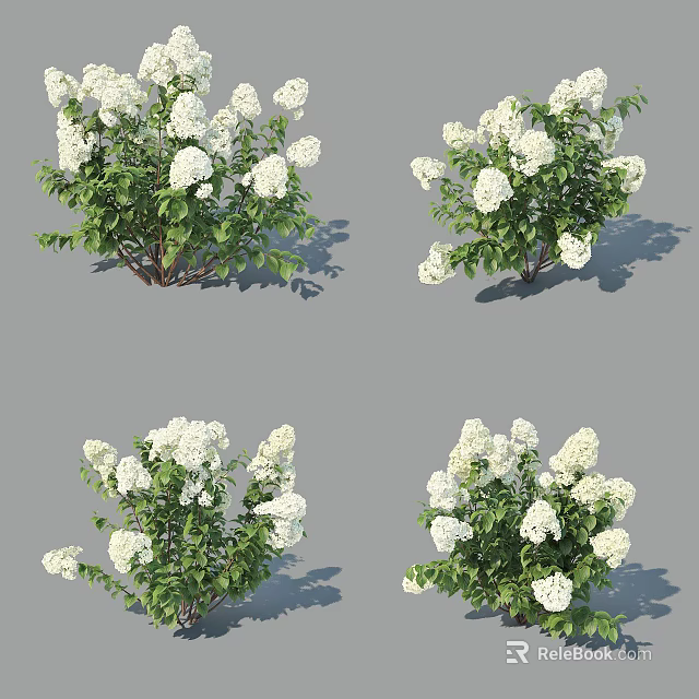 Beautiful Garden Shrubs With White Flowers And Lush Green Leaves 3d model 