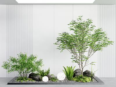 Modern landscape sketch courtyard landscape sketch plant sketch plant pile fern plant 3d model