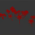 Tropical Palm Plants With Various Species Different Leaf Shapes Sizes And Heights For Decorative