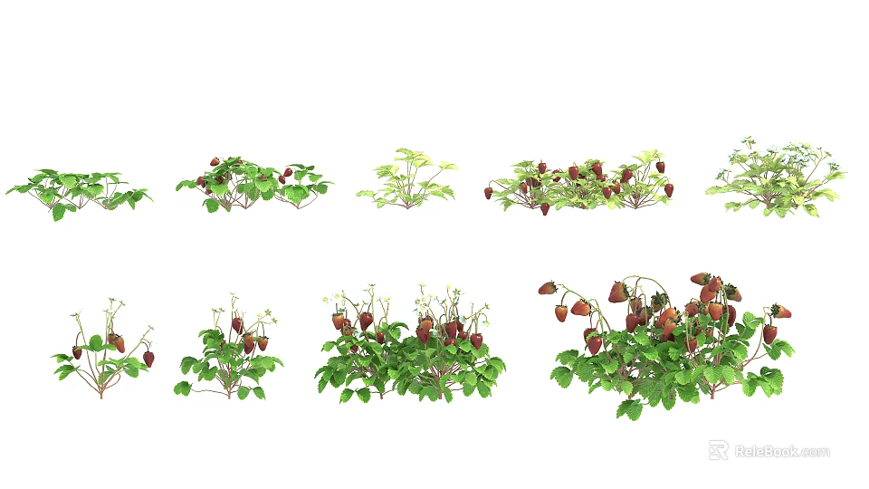 Fresh Ripe Strawberries With Green Leaves In Multiple Clusters 3d model 