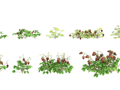 Fresh Ripe Strawberries With Green Leaves In Multiple Clusters 3d model