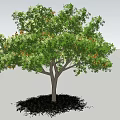 Lush Arbor With Green Foliage And Vibrant Orange Fruits On Grass