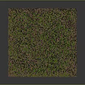 Lush Green Square Grass Turf Plant With Dense Blades And Brown Base