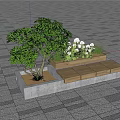 Outdoor Chair Where Woman Sits With Green Tree And Flowers Near Seaside Paved Ground