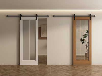 White And Wooden Barn Doors With Glass Panels And Black Sliding Tracks In Interior 3d model
