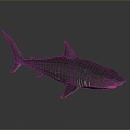 shark great white shark whale shark hammerhead shark tiger head shark man-eating shark blue shark coral red coral white coral 3d model