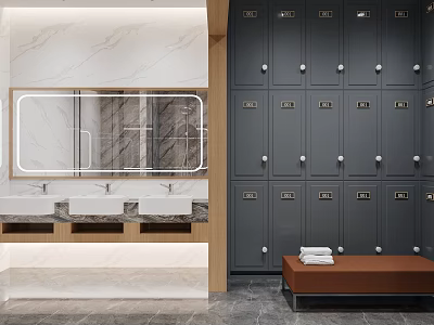 Modern Locker Room Interior With Gray Lockers Mirror Sinks And Brown Bench 3d model