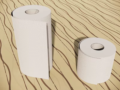 Modern Paper Roll Paper Toilet Paper 3d model