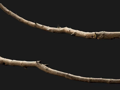 Natural Wood Branches With Stone Accents Displayed On Dark Background Surface 3d model