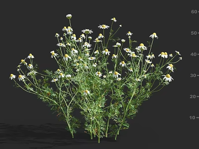 Beautiful Fresh Flowers and Lush Green Plants Thriving in Natural Garden Setting 3d model