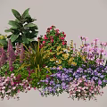 Colorful Garden Plant Combination With Pink Purple Yellow Flowers And Green Foliage