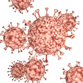 Innovative Medical Devices Supporting Viral Particle Research And Detection Processes