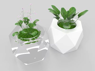 Transparent And White Geometric Planters With Green Plants And Purple Flowers 3d model