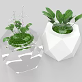 Transparent And White Geometric Planters With Green Plants And Purple Flowers