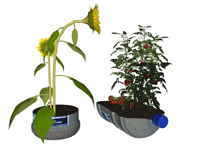 Modern Potted Plant Mineral Water Flower Pot Vegetable Pot Vegetable Sunflower 3d model