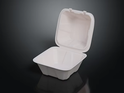 White Disposable Takeout Food Container With Open Lid And Divided Compartments 3d model