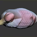Pink and White Duck Decorative Figurine With Yellow Beak And Textured Wings On Dark Surface