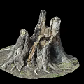 Old Weathered Tree Stump With Exposed Roots And Natural Wood Texture