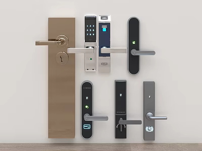 Various Types Of Door Locks Displayed On Wall 3d model