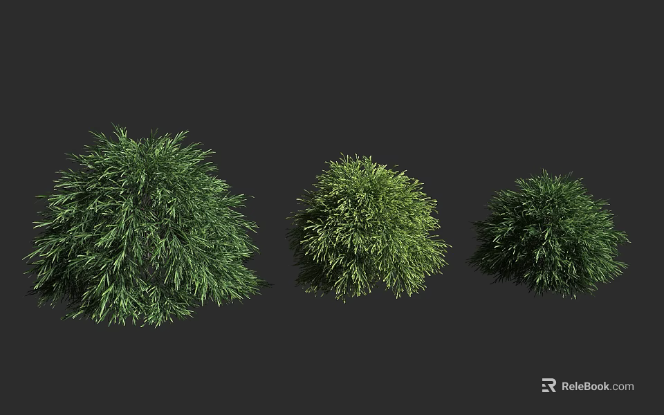 Three Green Shrubs of Different Sizes with Lush Foliage on Dark Background 3d model 