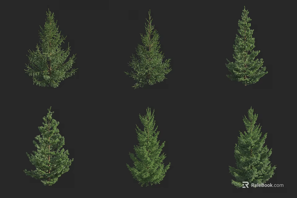 Arbor Trees Various Types Displayed In 3D Rendering On Black Background 3d model