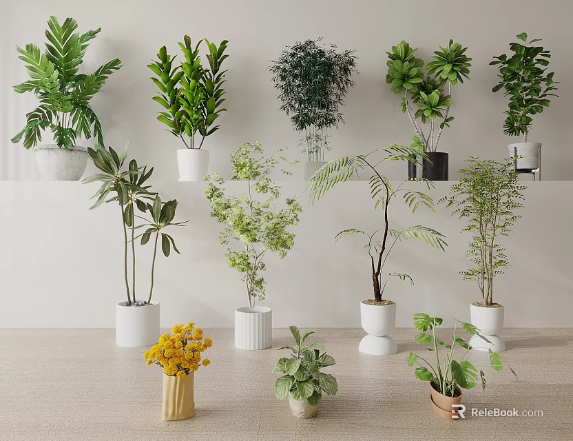 Home Interior With Various Hanging Basket Plants In White Pots And Ground Potted Greenery 3d model 