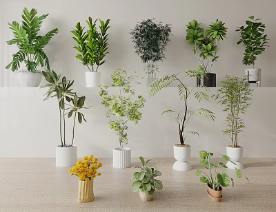 Home Interior With Various Hanging Basket Plants In White Pots And Ground Potted Greenery 3d model