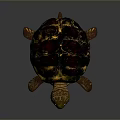 Reptile Tortoise With Red And Green Patterned Shell Green Head And Brown Limbs