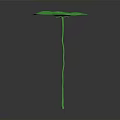 Vibrant Green Lotus Leaf Plant With Long Stem On Smooth Gray Background Surface