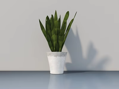 Potted Plant with Striped Green Leaves in White Patterned Pot on Smooth Blue Tabletop 3d model