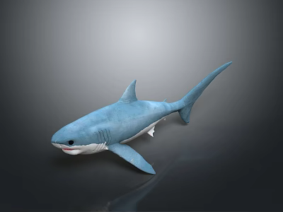 Soft Blue Plush Shark Toy With Open Mouth On Dark Background 3d model