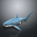 Soft Blue Plush Shark Toy With Open Mouth On Dark Background