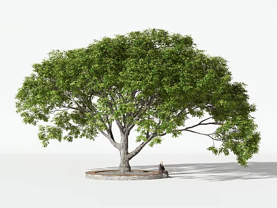 Lush Green Arbor With Thick Trunk And Person Sitting Under In Outdoor Setting 3d model
