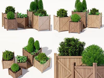 Various Bonsai Plants In Wooden Planters With Decorative Designs And Green Foliage 3d model
