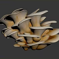 Fan Shaped Light Beige Mushrooms Clustered Together On Dark Surface With Shiny Reflection