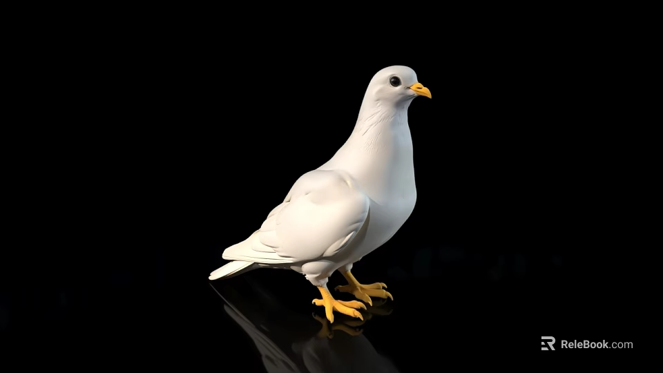 White Pigeon Standing With Yellow Beak And Feet On Black Background 3d model 