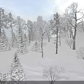 Snowy Winter Landscape With Trees Covered In Snow And Sunlight Shadows