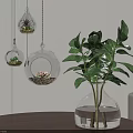 Indoor Plant Decor Hanging Glass Globes With Succulents Clear Vase Green Plant On Wooden Table