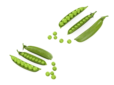 Modern Green Bean 3d model