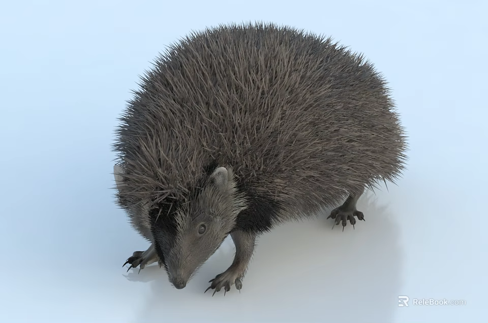 Spiny Gray Reptile With Thick Scales On White Background Closeup Shot 3d model 